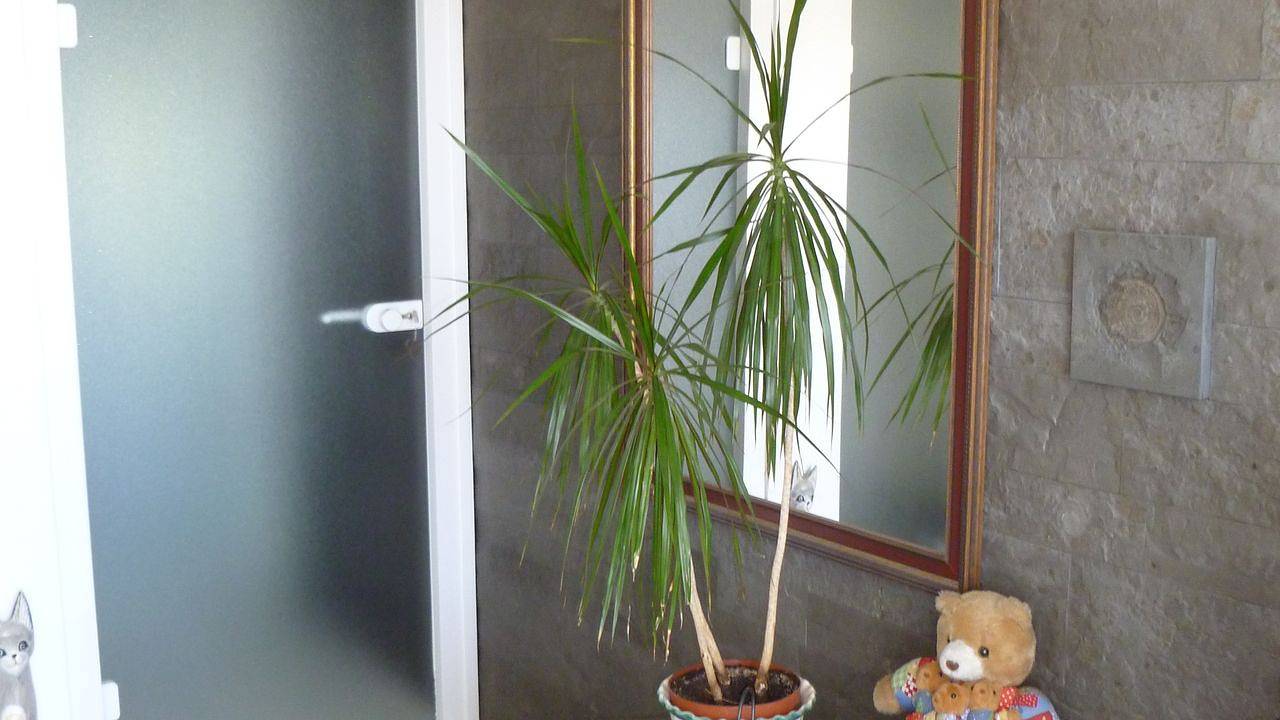 Ganze Ferienwohnung, Ferienwohnung für 4 Personen (110 m²) in Reichenau in Reichenau, Untersee