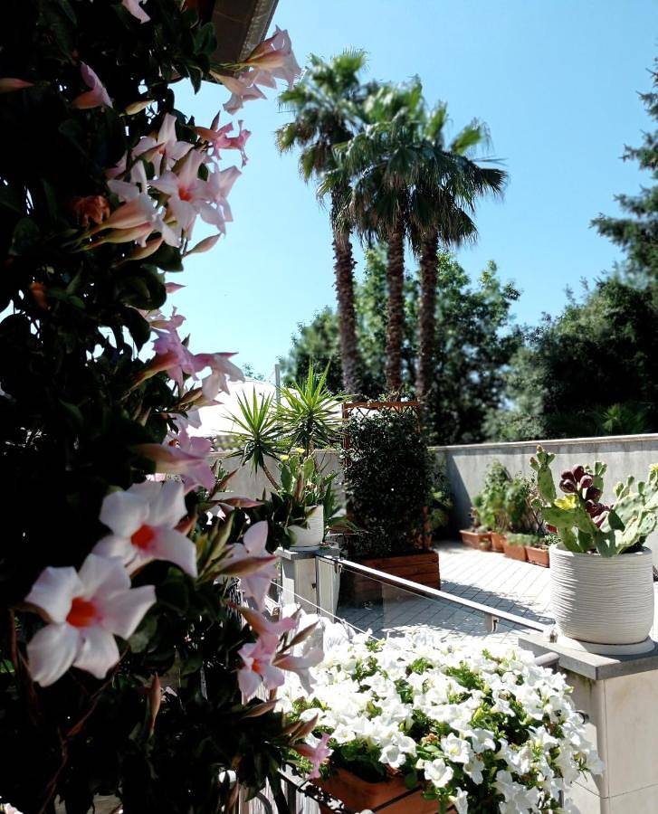 B&B Casa Althea in Milo, Etna