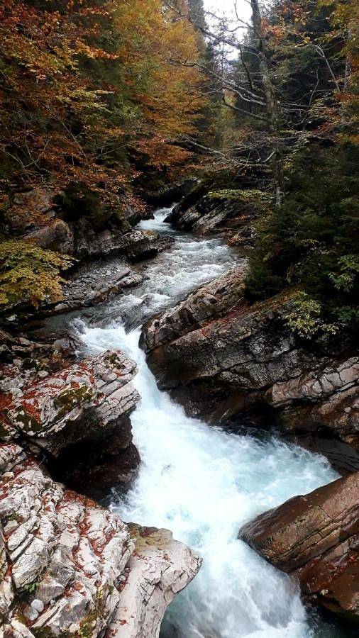 Ferienhaus für 12 Personen, mit Garten und Ausblick, mit Haustier in Bad Hindelang - 4