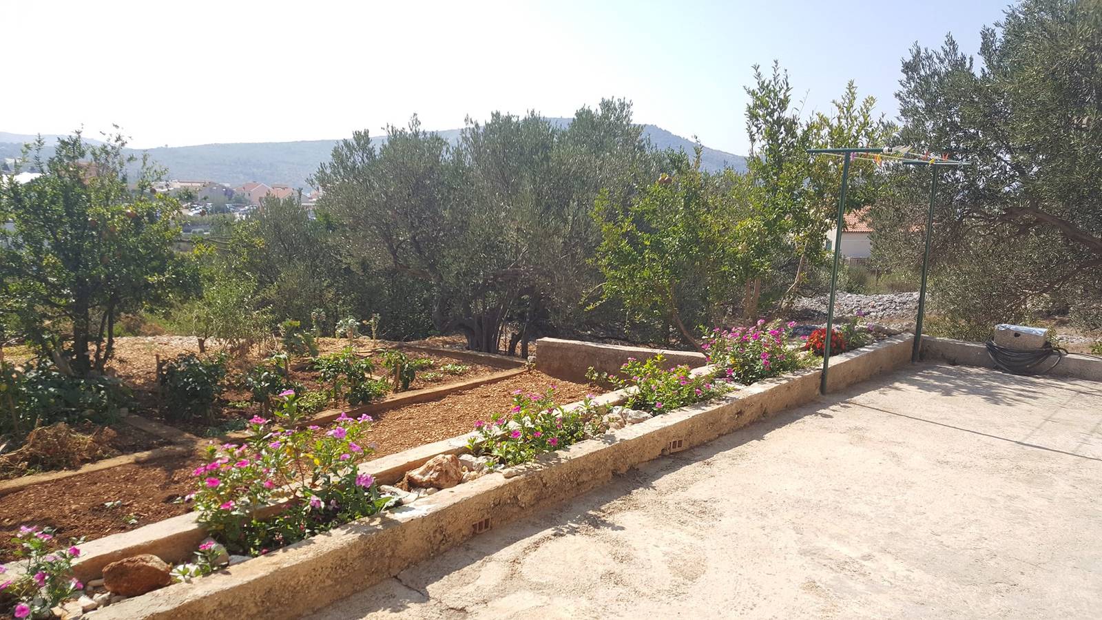 Ganze Wohnung, Ferienwohnung für 3 Personen mit Balkon/Terrasse in Primosten, Šibenik-Knin