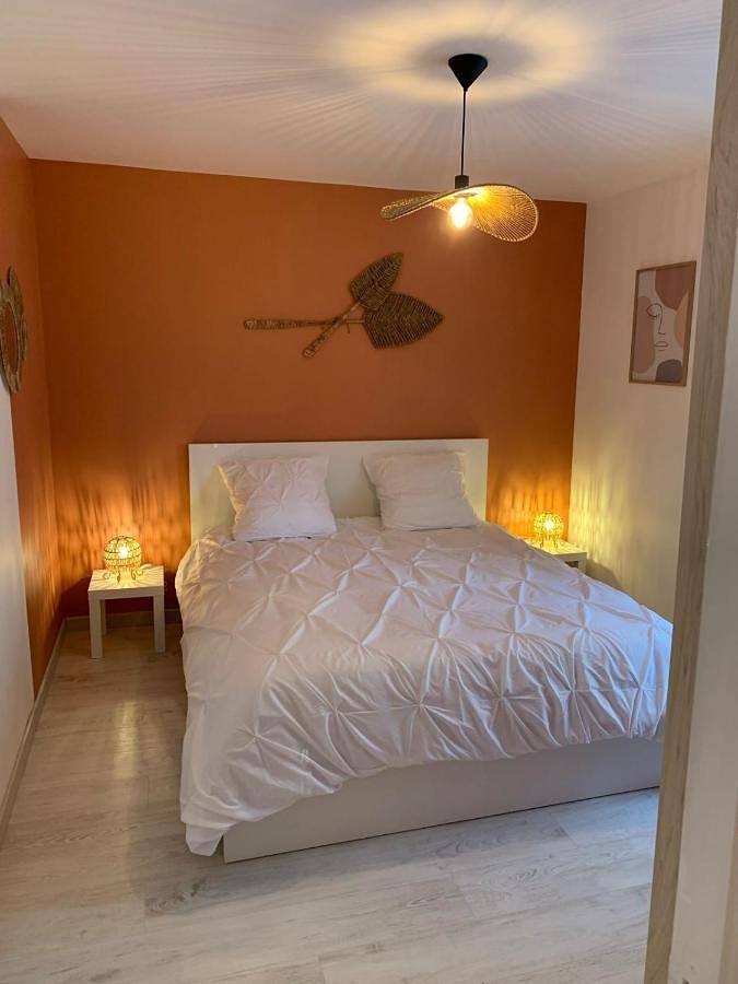 Gîte pour 4 personnes, avec terrasse à Orly (Île de France) - 4