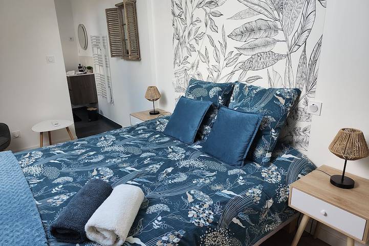 Gîte pour 6 personnes, avec piscine ainsi que jardin et terrasse à Noyant-de-Touraine