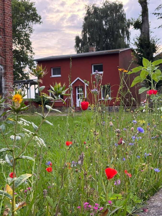 Ferienhaus für 6 Personen, mit Terrasse und Garten sowie Ausblick in Laage
