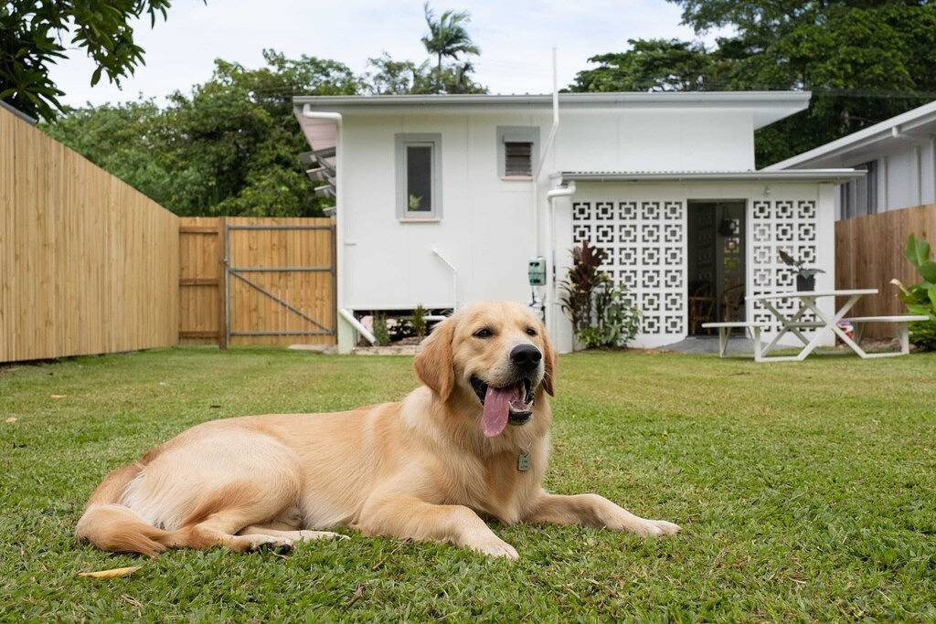Stylish & Pet-Friendly Getaway – Your Tropical Escape Awaits in Cairns, Far North Queensland
