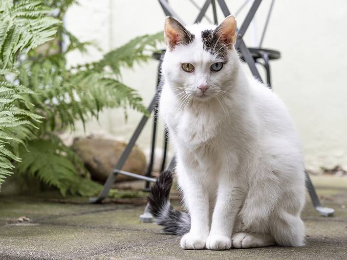 Gîte pour 3 personnes, avec jardin à Bienne - 3