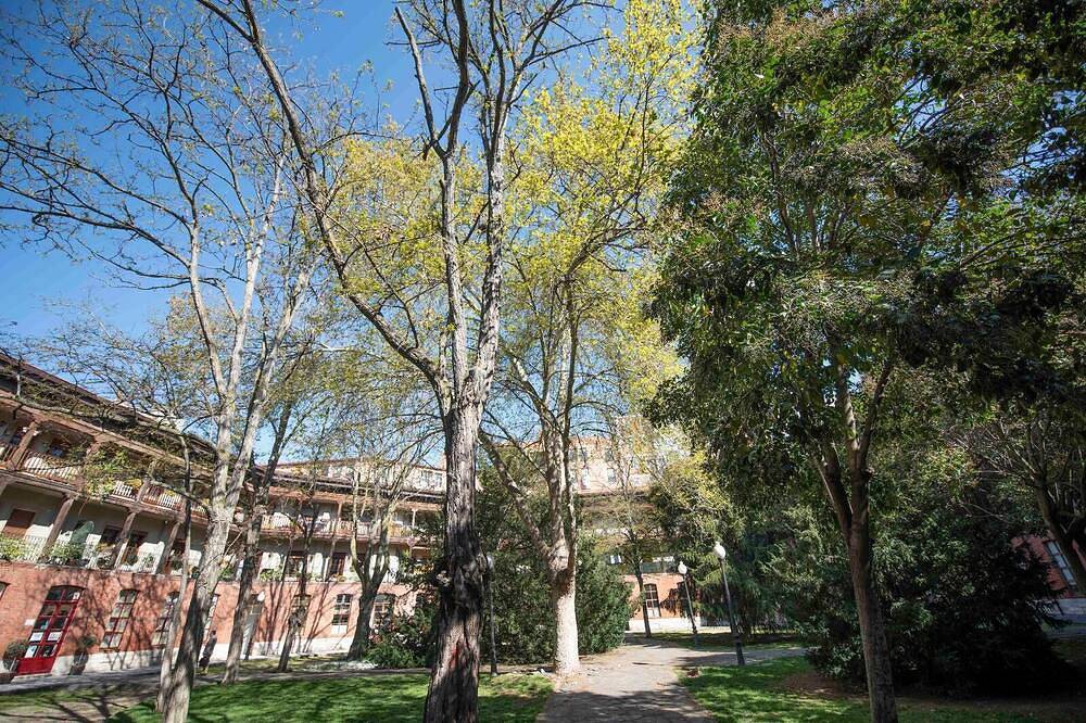 Entire apartment, White spaces El viejo Coso: with parking! in Valladolid, Valladolid Province