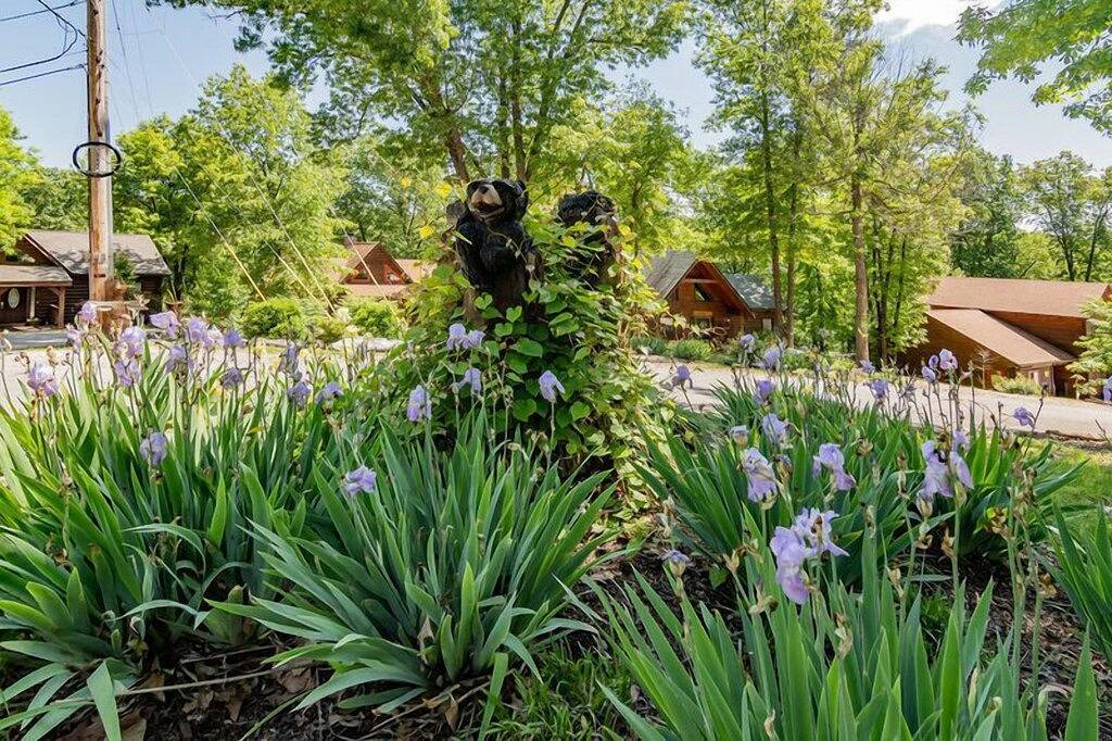 Chalet for 6 Guests in Table Rock Lake, Taney County