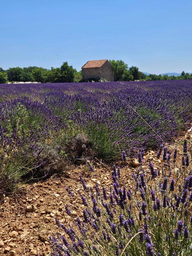 Gîte pour 2 personnes, avec vue ainsi que piscine et jardin à Puimoisson - 2