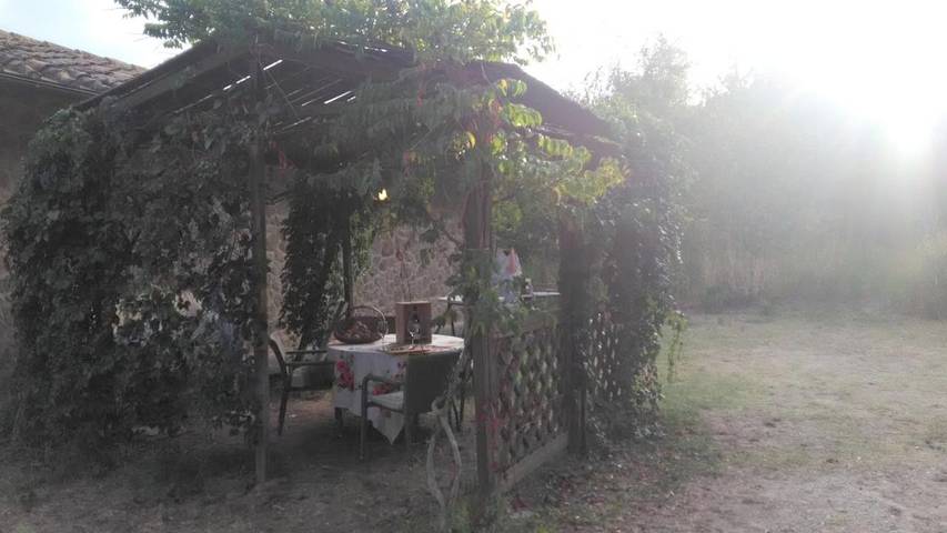 Gîte pour 3 personnes, avec piscine et jardin, animaux acceptés à Montepulciano - 4