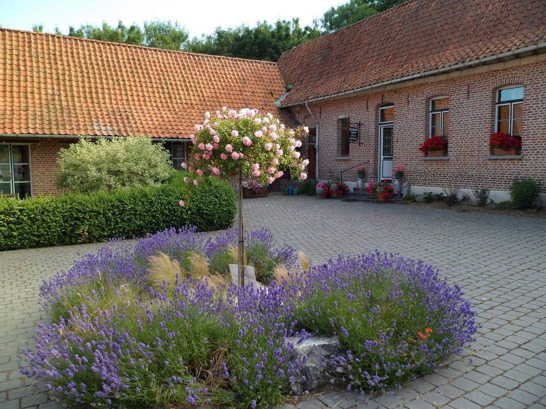 Ferme de la noyelle - Capucine au rez-de-chaussée in Sainghin-en-Mélantois, Lille und Umgebung