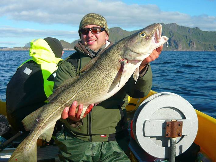 Ferienhaus für 4 Personen, mit Terrasse und Sauna in Nord-Norwegen - 2