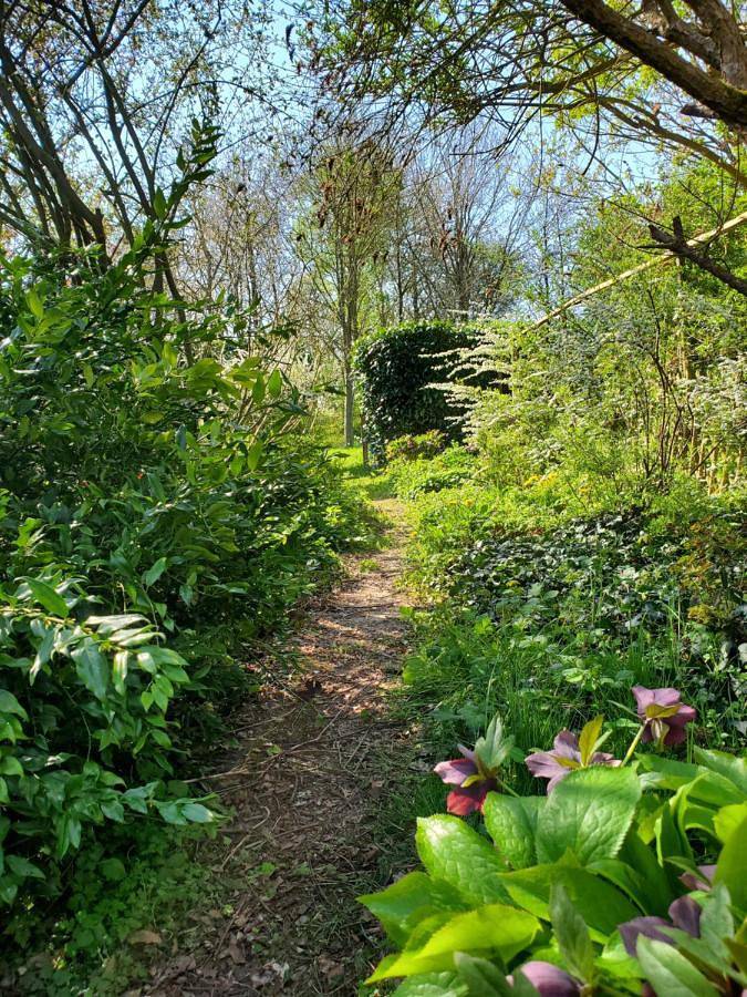 Location de vacances pour 2 personnes, avec vue et jardin à Saint-Fraimbault - 4