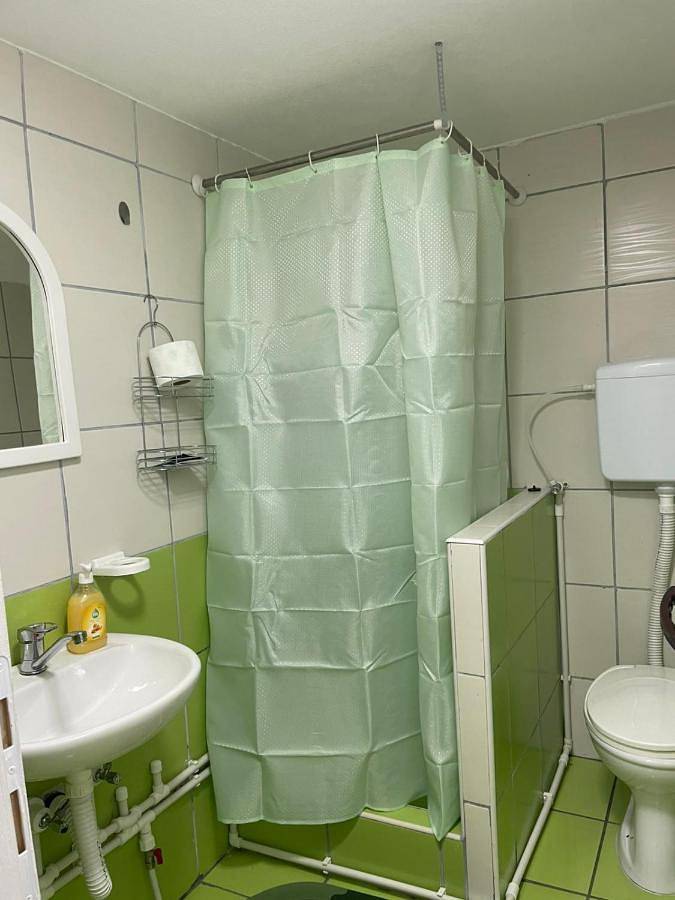 Gîte pour 3 personnes, avec vue et balcon, animaux acceptés à Despotovac - 2