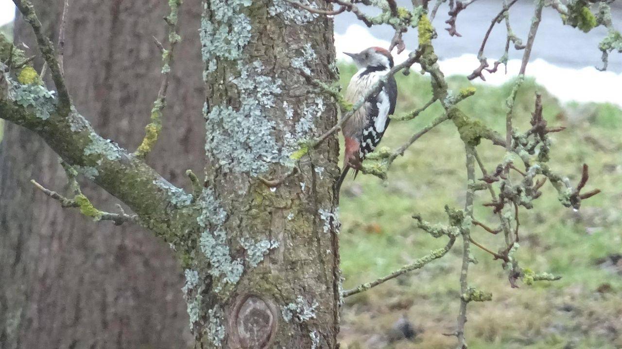Ganze Ferienwohnung, Ferienwohnung für 3 Personen (60 m²) in Seiferts in Seiferts, Ehrenberg