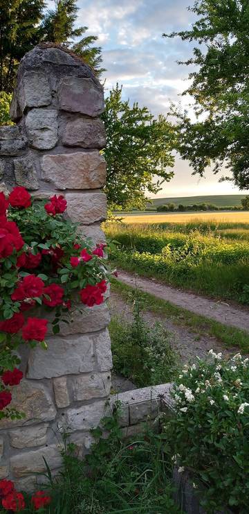 Ferienwohnung für 6 Personen in Flonheim, Rheinhessen, Bild 1