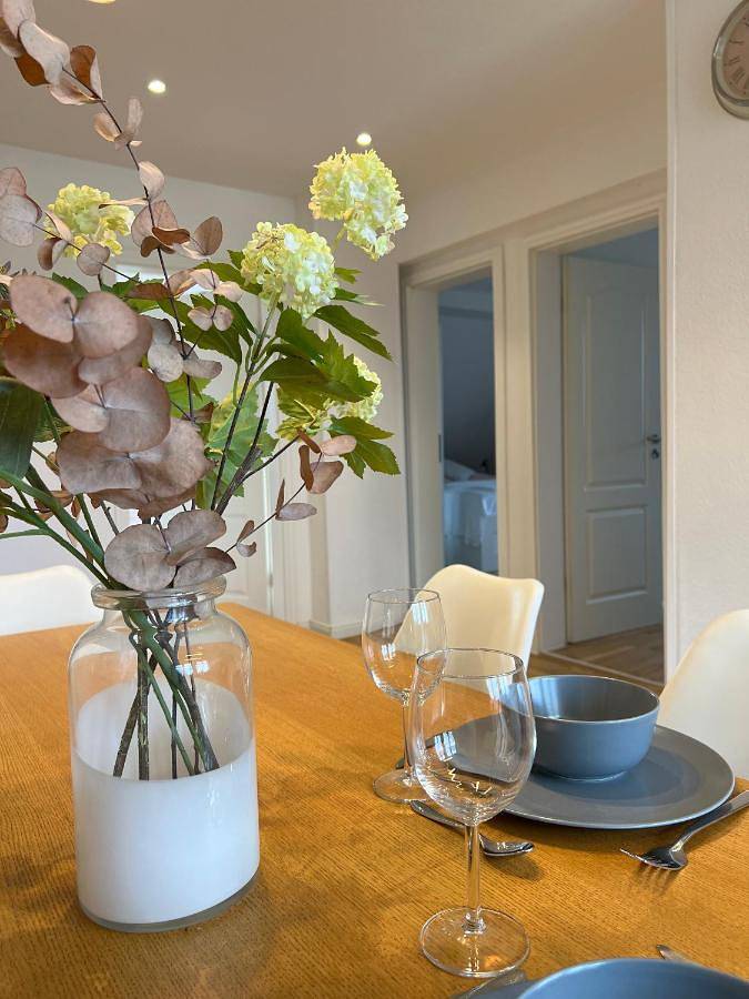 Appartement entier, Schöne Altbauwohnung mit großer Dachterrasse für bis zu 7 Personen in Lörrach, Forêt-Noire du Sud
