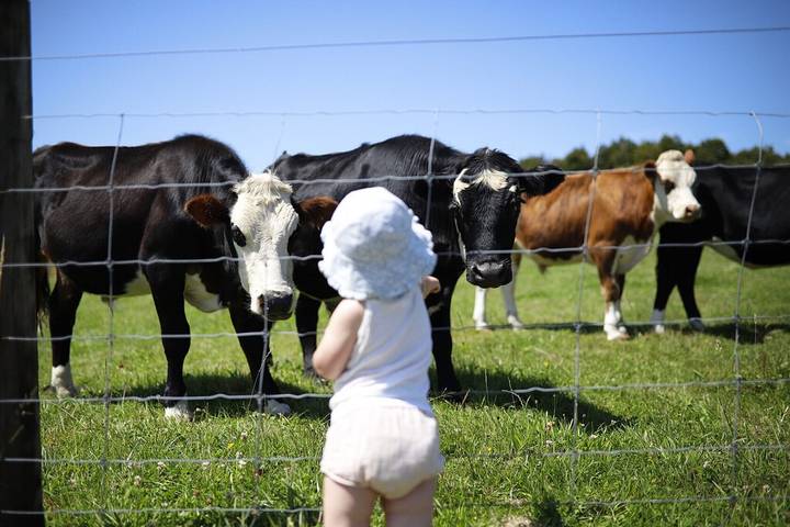 Maison d’hôte pour 14 personnes, avec jardin dans Nouvelle-Zélande - 2
