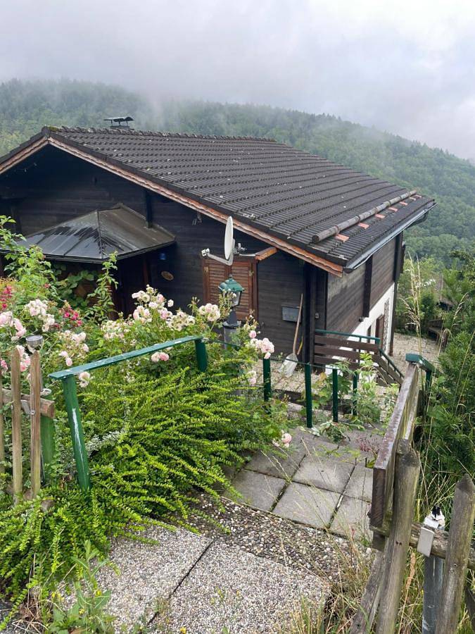 Ferienwohnung für 2 Personen, mit Ausblick und Terrasse, mit Haustier in Schöfweg - 2