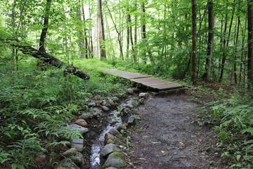 Bed And Breakfast for 6 Guests in Dorset (Vermont), Green Mountain National Forest, Picture 3