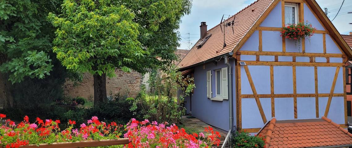 Gîte pour 4 personnes, avec terrasse et jardin en Alsace - 4