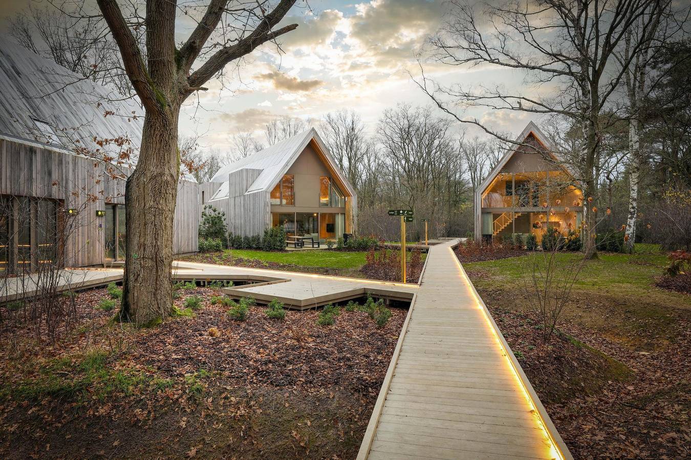 Woodz Lodges — Lodge | 8 personnes in Heusden-Zolder, Région de Hasselt