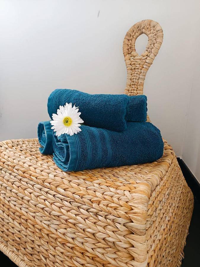 Location de vacances pour 5 personnes, avec piscine et vue ainsi que balcon et jardin à Malijai - 4