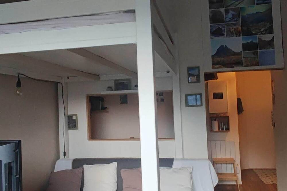 Entire apartment, Renovated 4-person studio with lake view Artouste Fabrège in Station d'Artouste, Laruns