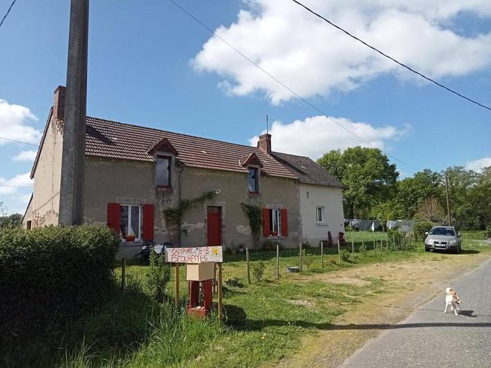 Chambre d’hôte pour 4 personnes, avec Jardin ainsi que Piscine et Vue à Montipouret