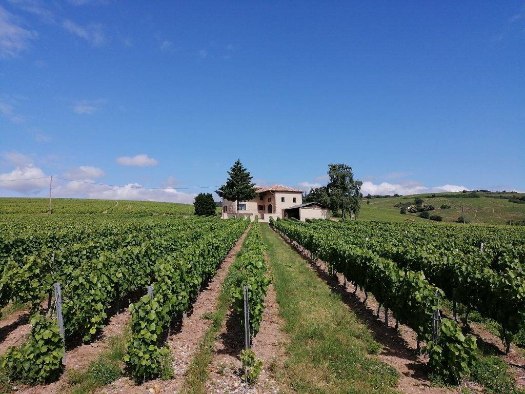 Gîte Le Grille Midi in Fleurie, Beaujolais