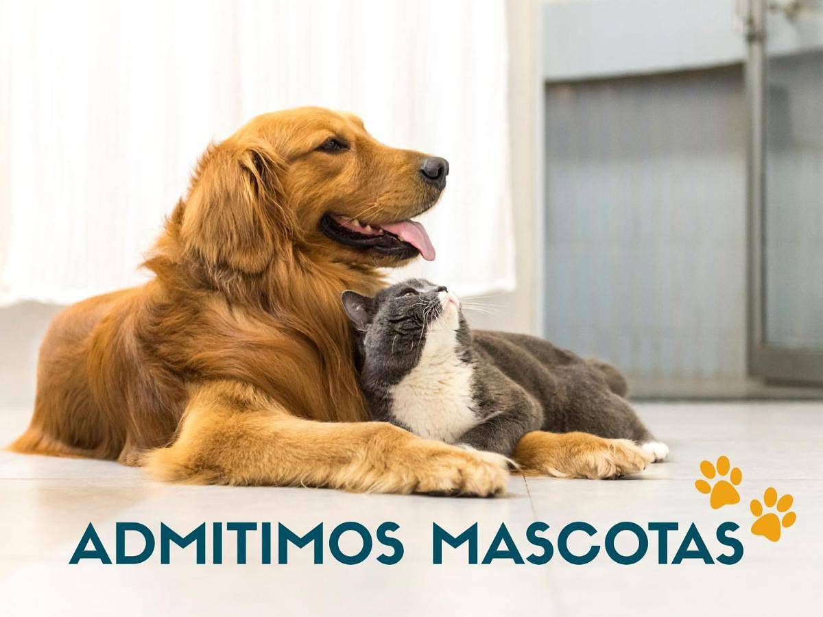 Apartamento entero, Apartamentos Doña Carmen 3000 in Playa Morro de Gos, Oropesa del Mar