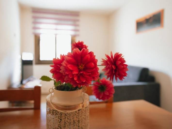 Appartement entier, Appartement fonctionnel à Montardit de Baix, animaux admis in Soriguera, Pyrénées catalanes