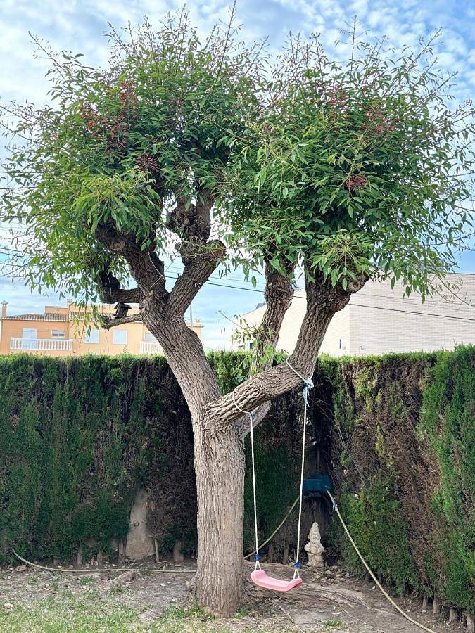 Chalet para 8 personas, con jardín y piscina, Se admiten mascotas en Provincia de Valencia - 3