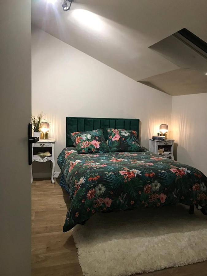 Loft 90m2 avec spa chauffé unique à Lyon in Lyon, Lyon und Umgebung
