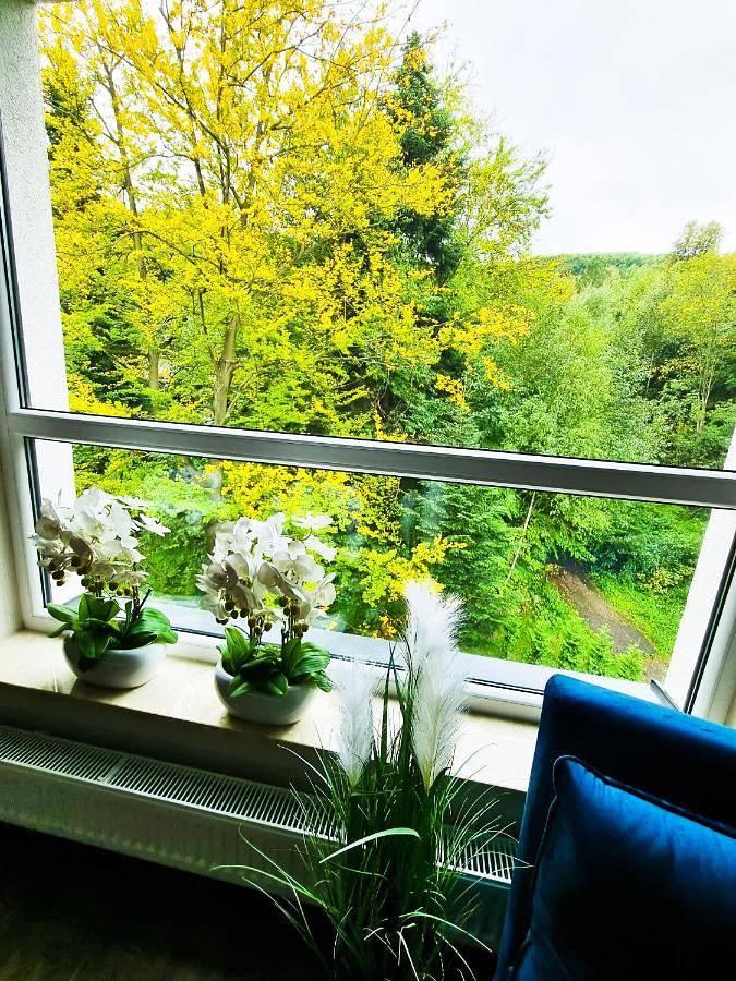 Cały apartament, Apartament Kurort Kozubnik Wilcza Wataha in Porąbka, Śląsk