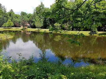 Log Cabin for 4 Guests in Adirondack Mountains, New York State, Picture 3