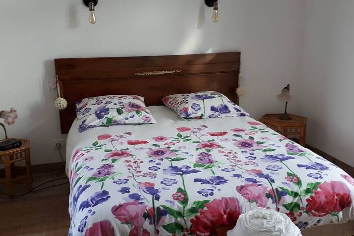 Gîte pour 2 personnes, avec jardin, animaux acceptés à Sens-de-Bretagne - 4