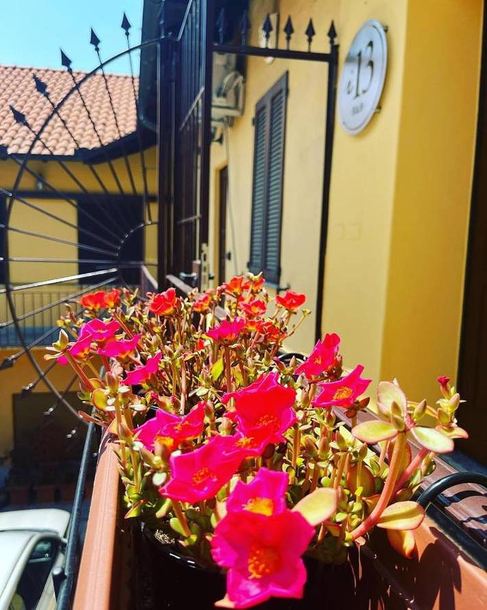 Location de vacances pour 4 personnes, avec vue et terrasse, animaux acceptés à Magenta - 3