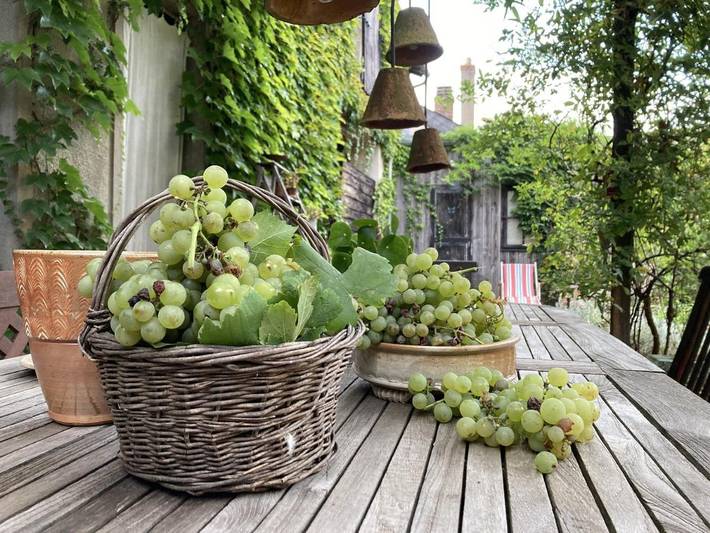 Gîte pour 2 personnes à Henrichemont - 2