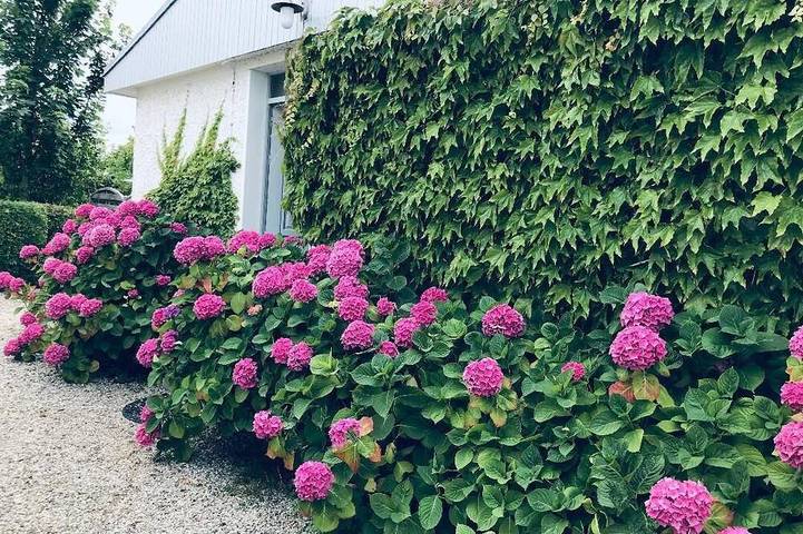 Ferienhaus für 10 Personen, mit Garten, mit Haustier in Cabourg
