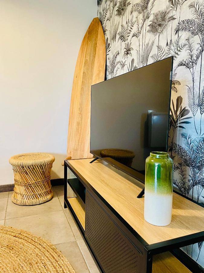 Location de vacances pour 4 personnes, avec terrasse et jardin dans Montils - 2