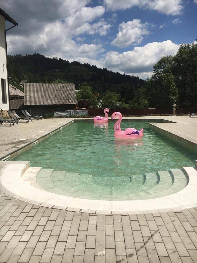 Chambre d’hôte pour 2 personnes, avec jardin ainsi que sauna et piscine à Alba (Romania) - 3