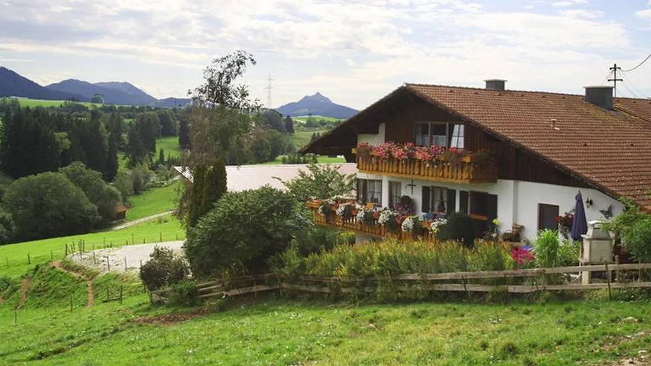 Ganze Ferienwohnung, Ferienwohnung für 4 Personen (72 m²) in Oy-Mittelberg in Oy-Mittelberg, Bayerisch Schwaben