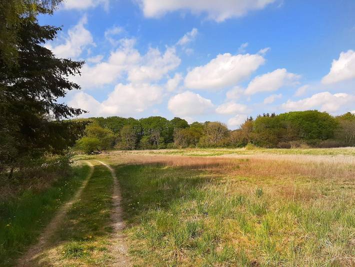 Location de vacances pour 8 personnes, avec terrasse et piscine à Ebeltoft - 3