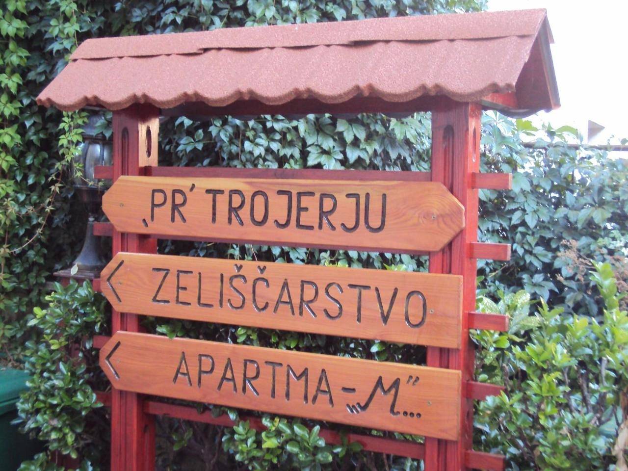 Ganze Wohnung, Apartment Maruška in Tolmin, Slowenien