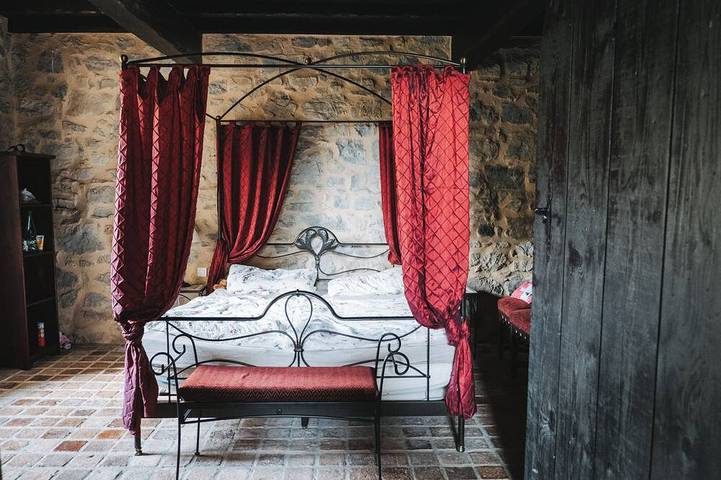 Gîte pour 12 personnes, avec jardin à Castelnau-Durban - 2