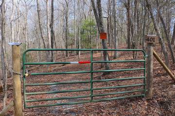 Camping for 8 Guests in Mineral Bluff, Blue Ridge Mountains, Picture 1