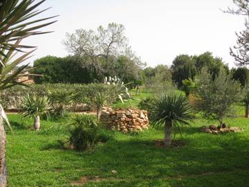 Finca in Llucmajor, Mallorca Süden für 9 