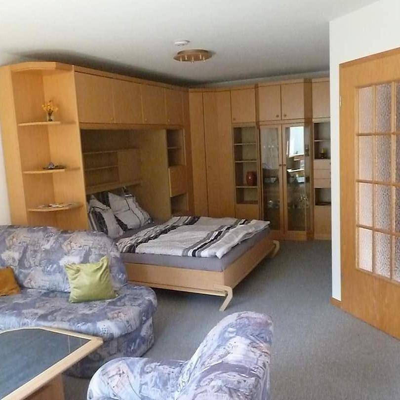 Appartement entier, One-Bedroom Apartment in Emmendingen, Forêt-Noire du Sud