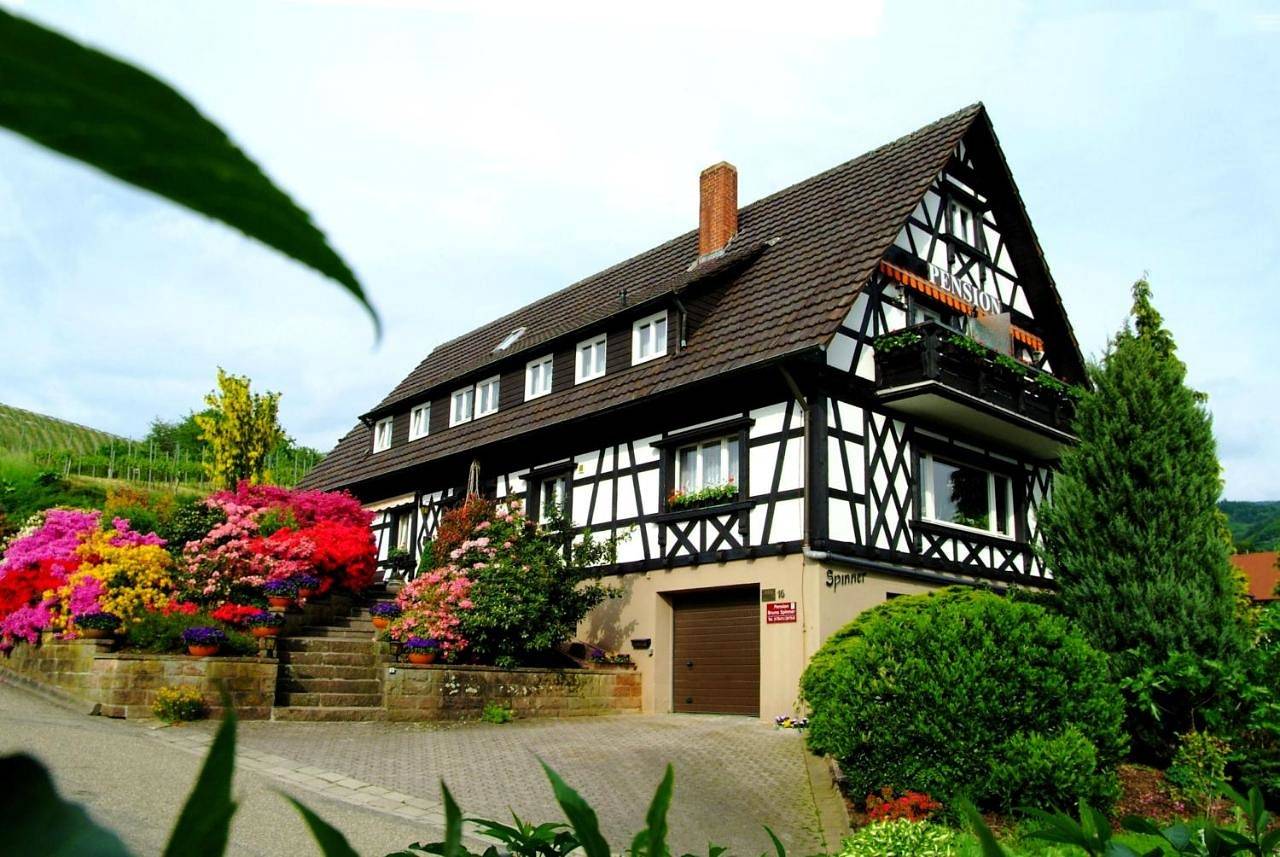 Pension am Weinberg in Sasbachwalden, Forêt-Noire centrale