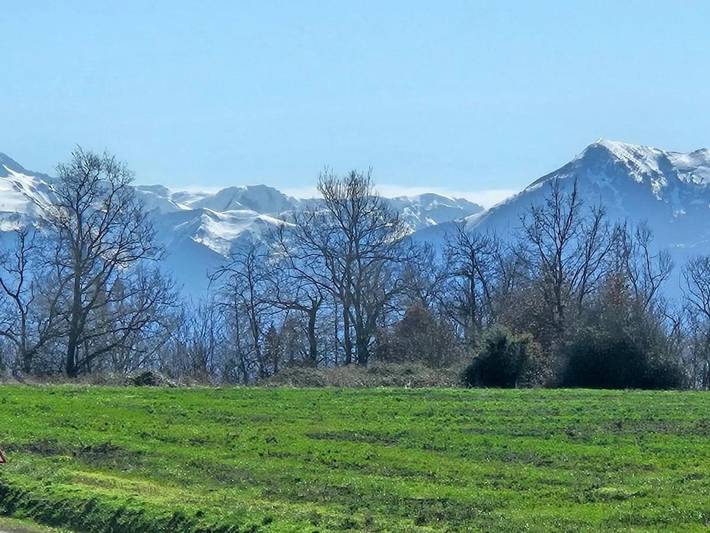 Location de vacances pour 6 personnes, avec jardin et terrasse à Cardeilhac - 2